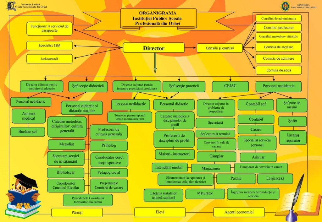 organigrama